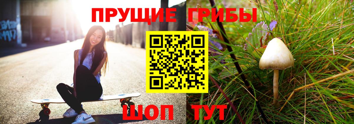 Псилоцибиновые грибы прущие грибы  Галлюциногенные грибы ЛСД  Вход с VPN  Пенза 